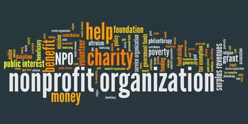 非营利组织能发挥哪些积极作用和意义和作用